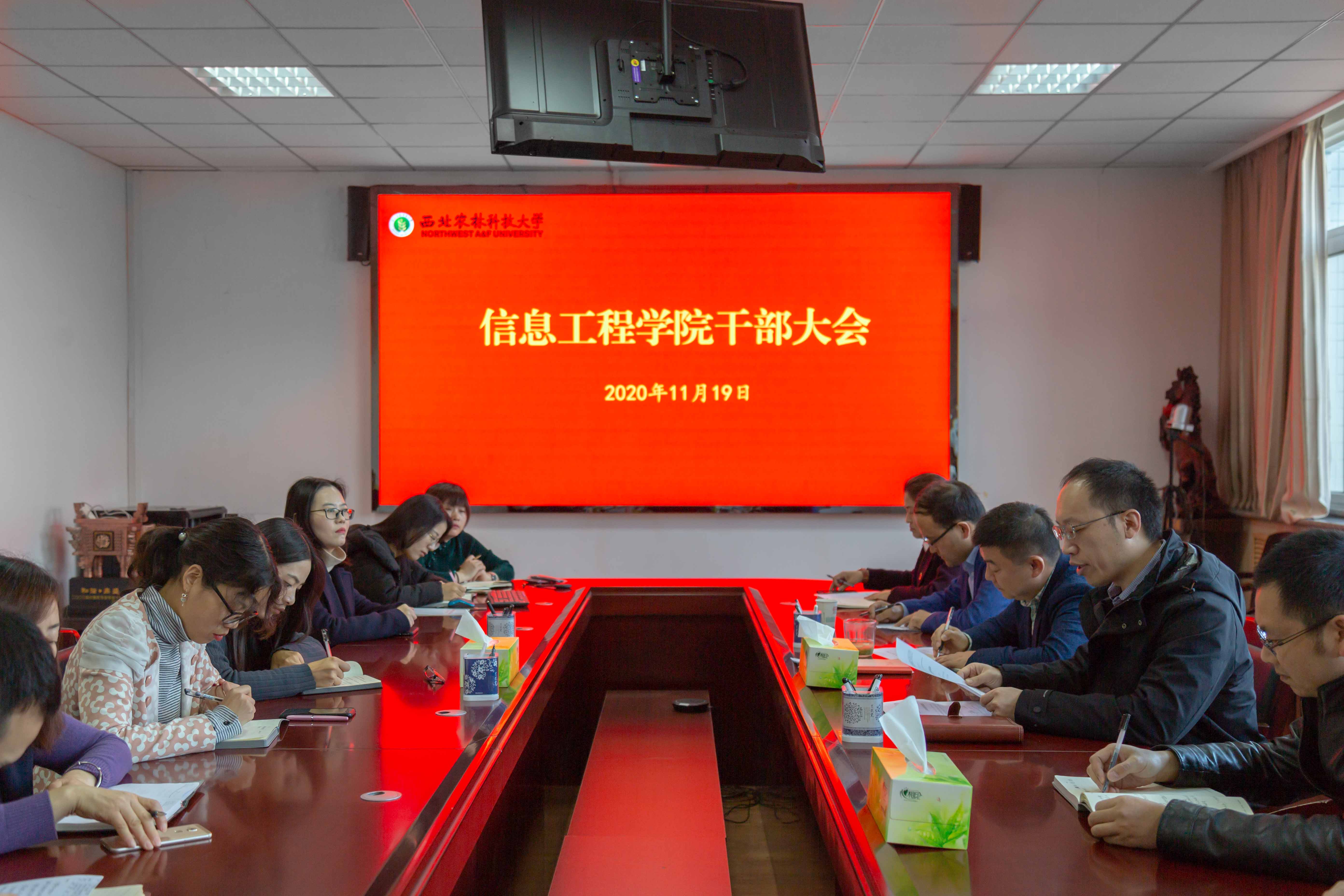 c9914f2cf9184ead97c74c2d8841737e.jpg c9914f2cf9184ead97c74c2d8841737e.jpg